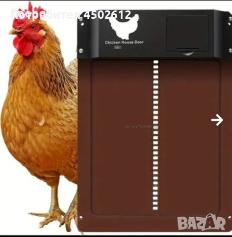 Врата за кокошарник, снимка 7 - За птици - 53307134