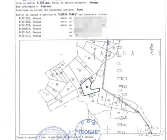 13 дка Цигов Чарк ПЪРВА ЛИНИЯ, снимка 2 - Парцели - 39920498