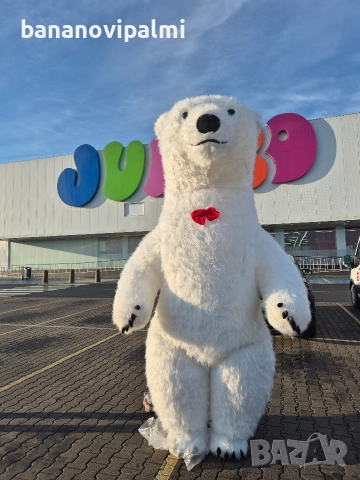 Изненада с Гигантска Бяла мечка , снимка 2 - Аниматори, танцьори, статисти… - 52924000