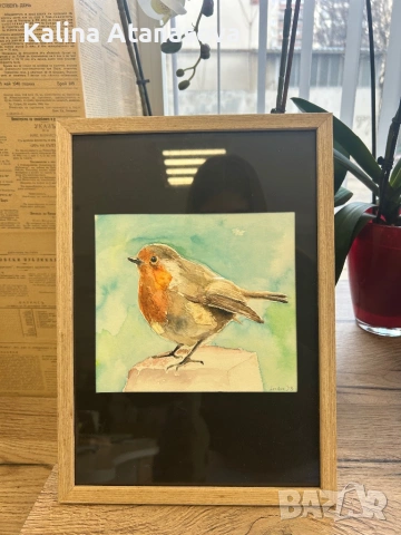 Ръчно рисувана акварелна картина – Червеношийка