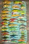 Salmo, Rapala, Spro,Storm Savage gear, Zalt, Sosy, Pontoon, Yo-Zuri, Bomber, спининг щука pike, снимка 1