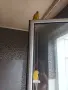 Поен папагал мъжки , снимка 4