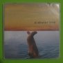 Elephant Ride – Forget CD (с басиста на Led Zeppelin), снимка 1 - CD дискове - 31777936
