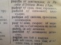 Френско български  речник , снимка 4