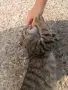 Търси своя нов дом, снимка 3