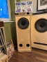 Страхотни тонколони TANNOY DU-316 12 инча, снимка 4