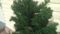 Новогодишна изкуствена и реалистична елха 130 см, снимка 8