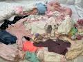Много дрешки за бебешки момичета (0-6 месеца) - Подарявам ги., снимка 3