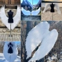 Ангелски крила за декорация и фотосесия , снимка 17