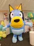 Bluey  гига блуй, снимка 1