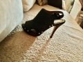 Дамски оригинални маркови обувки размер 38, снимка 1 - Дамски обувки на ток - 30470085