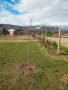 Продавам парцел с. Браниполе, снимка 4
