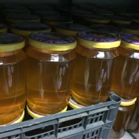 Пчелен мед от производител, снимка 3 - За пчели - 42183636