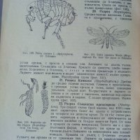 Обща ентомология - проф. Ас. Лазаров, снимка 3 - Специализирана литература - 31793501