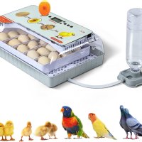 Автоматичен инкубатор 20 яйца + подаръци - реф. код - 4, снимка 2 - Други стоки за животни - 42592562