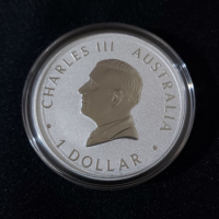 Австралия 2024 - 1 долар - Австралийската Кукабура – 1 OZ – Сребърна монета, снимка 2 - Нумизматика и бонистика - 44781008