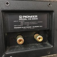 Pioneer Model CS-E830, снимка 6 - Тонколони - 32060629