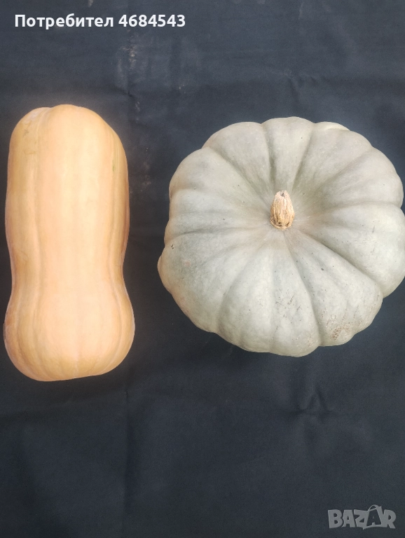 Тикви, снимка 1