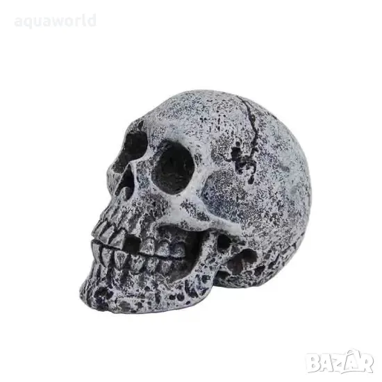 "ПРОМОЦИЯ" Изкуствена декорация - Череп S, снимка 1