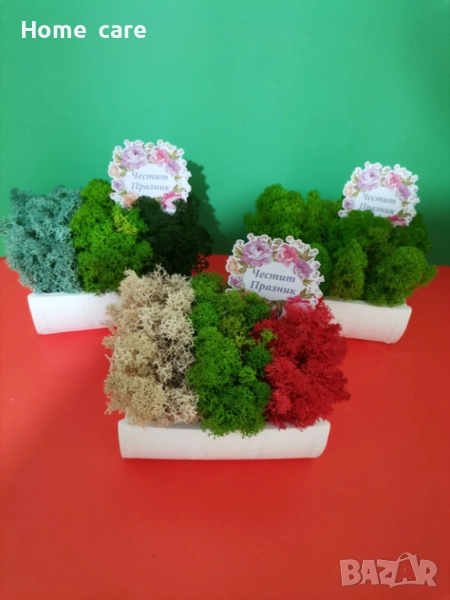 Керамични кашпи със скандинавски мъх , снимка 1