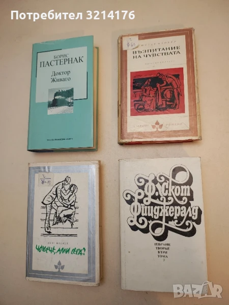 Възпитание на чувствата. История на един млад човек - Гюстав Флобер, снимка 1