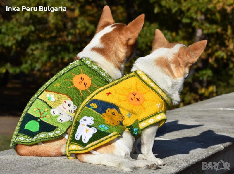 Ръчно бродирани перуански кучешки дрешки различни цветове и размери , снимка 1