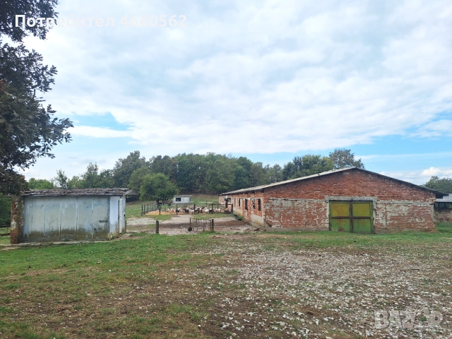 Продава се животновъден обект , снимка 2 - Други - 52541669