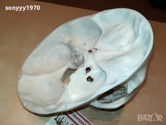 ЧЕРЕП-ВНОС ГЕРМАНИЯ 1806222011, снимка 12 - Колекции - 37127150