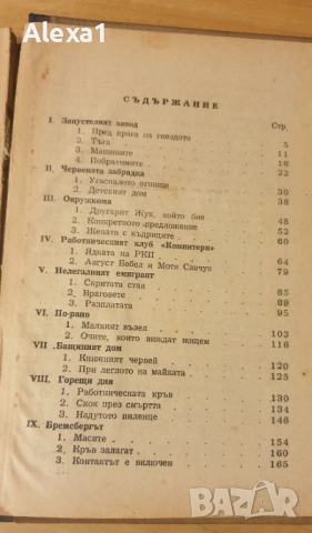 " Цимент ", снимка 4 - Художествена литература - 53288442