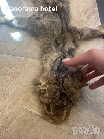 естествена кожа с косъм , снимка 6 - Други стоки за дома - 50078309