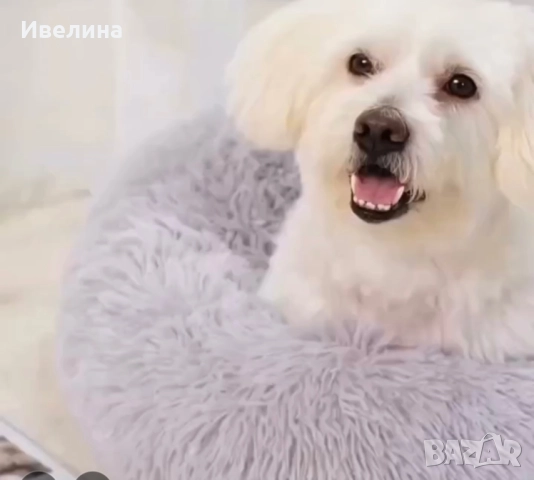 Меко легло за домашен любимец, снимка 4 - За кучета - 51620498