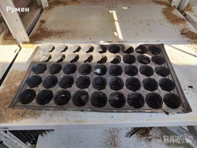 Табли за разсад