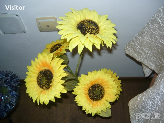 фотоапарат Panasonic LS80 - 8.1 MPx, снимка 16 - Фотоапарати - 52917913