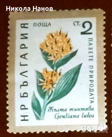 Български пощенски марки с цветя. Серия "Пазете природата". 1960 г., снимка 2 - Филателия - 55865910