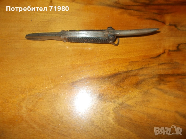 Боцманска ножка, снимка 3 - Колекции - 53105928