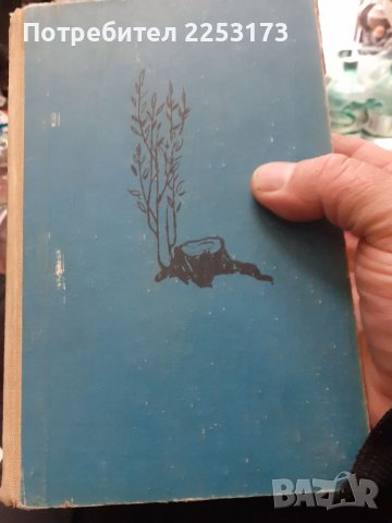 Разораната целина от 1955г., снимка 1