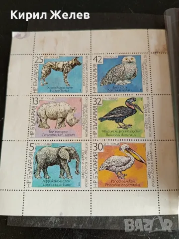 Пощенски марки чиста комплектна серия ЖИВОТНИ редки от соца за КОЛЕКЦИОНЕРИ 46290