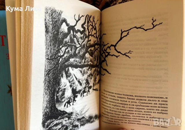 Три повести за Карлсон Братята с лъвски сърца Астрид Линдгрен, снимка 6 - Детски книжки - 51229287