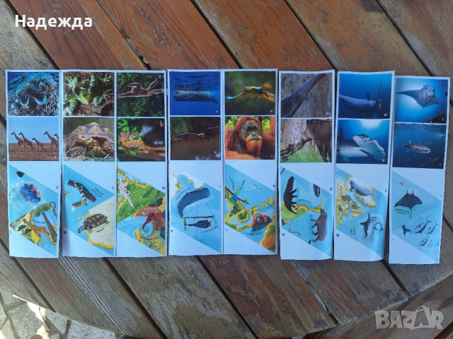 БИЛА Стикери - Невероятните животни по света, снимка 2 - Колекции - 54173365