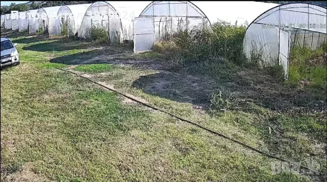 Земеделско и животновъдно стопанство 
