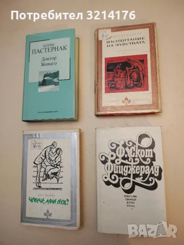 Възпитание на чувствата. История на един млад човек - Гюстав Флобер