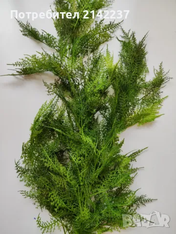 Изкуствен стрък папрат различни видове, снимка 6 - Изкуствени цветя - 47466817