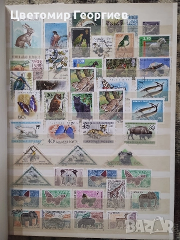 Класьор с марки /животни/ 650 бр ., снимка 2 - Филателия - 53078099