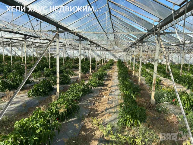 Оранжерия за продажба, снимка 4 - Земеделска земя - 52376873