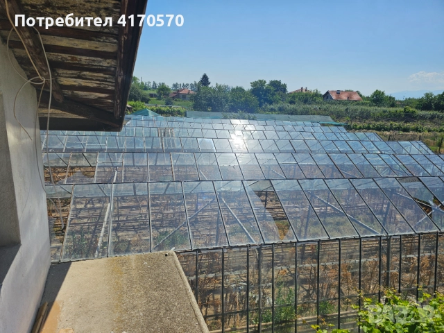 Продава се стъклена оранжерия, снимка 5 - Оранжерии - 51654998