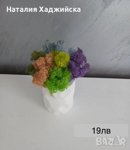 Декоративни кашпи с естествен скандинавски мъх, снимка 4 - Декорация за дома - 51278809