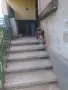 Продавам къща в Бойчиновци, снимка 13