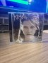 Kesha - Animal CD , снимка 1 - CD дискове - 42330798