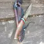 Нож ръчна изработка, снимка 14