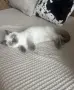 Готов за нов Дом, снимка 5